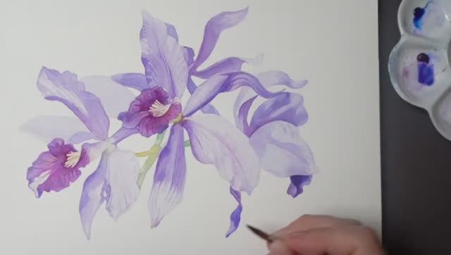 Мастер-класс по рисованию акварелью «Орхидея» для начинающих 💜