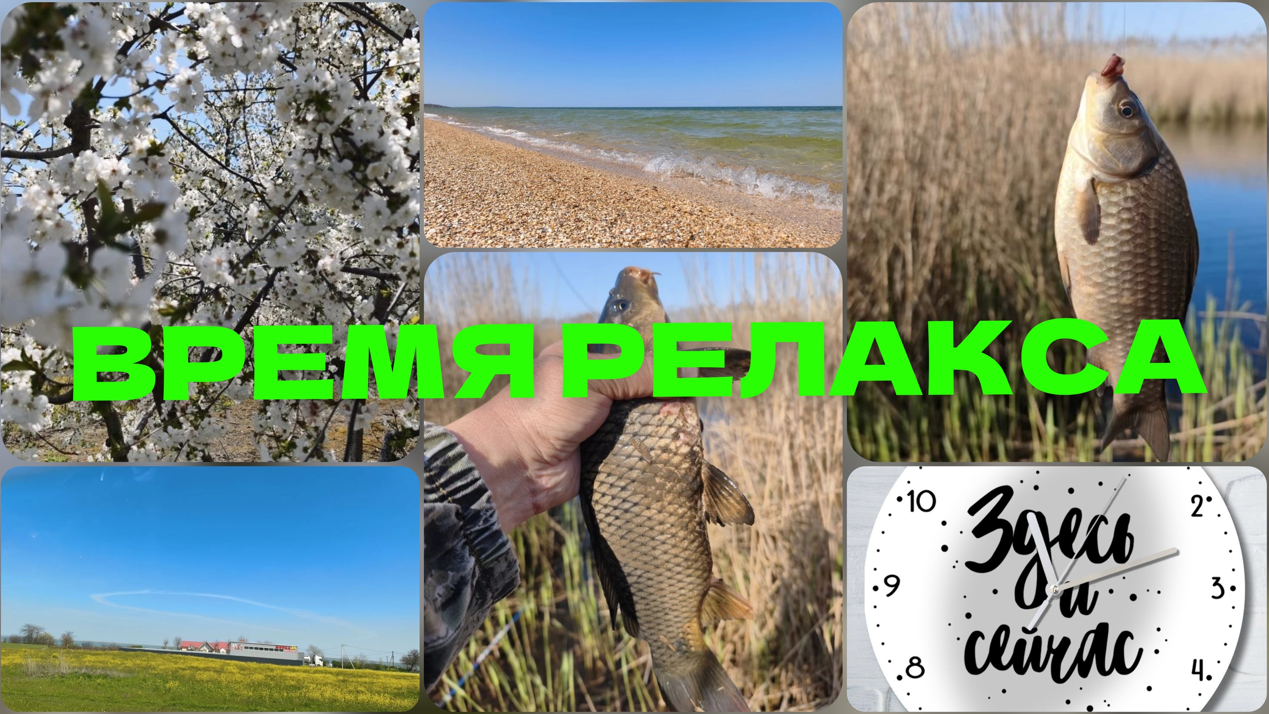 Время релакса.Что у нас на ужин?