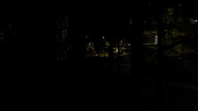 18.04.26. Фирсановка. Зверское истязание жителей Фирсановки аэропортом Шереметьево .mp4