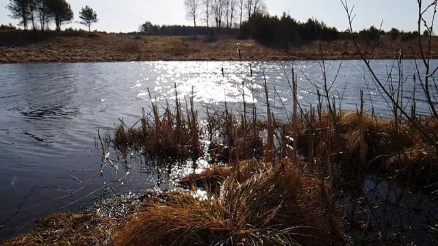 08▪️Весной на речке ▪️Футажи ▪️Красивая природа