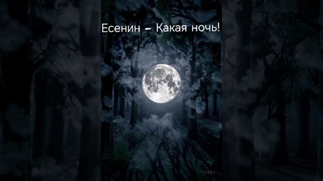 Есенин - Какая ночь нейрокавер