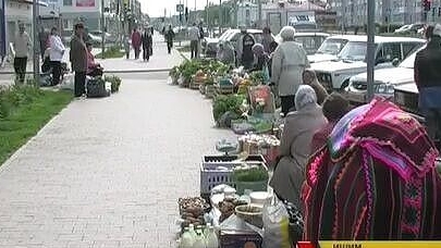 Ишимские истории. Грибное лето 2010