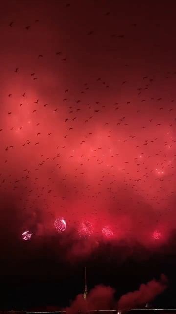 Праздничный салют в честь 81-й годовщины снятия блокады Ленинграда прогремел в Петербурге 3