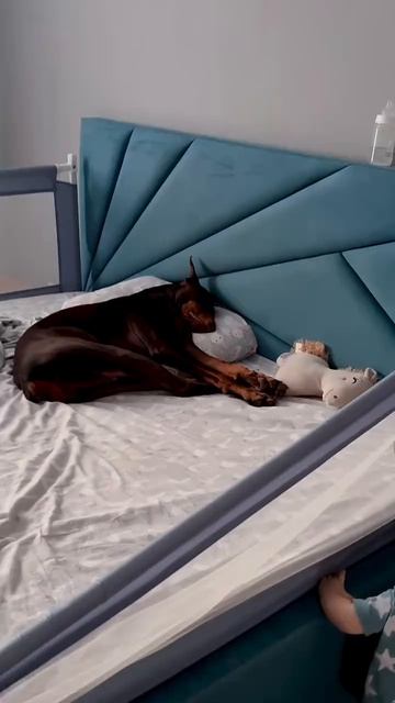 Зато красивый