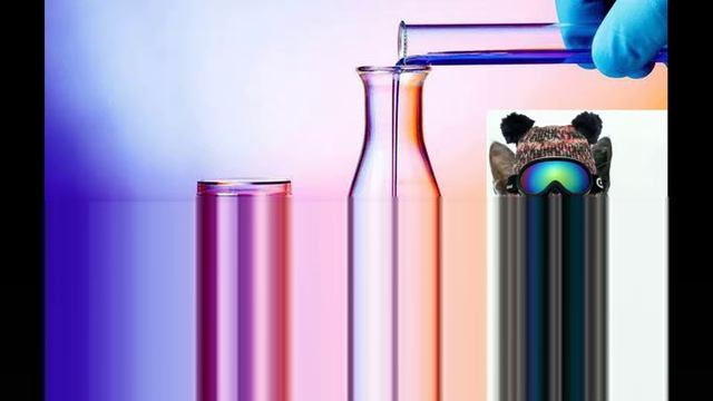 Саморазвитие в опросах. Вопросы от кота Бориса. Выпуск 1.