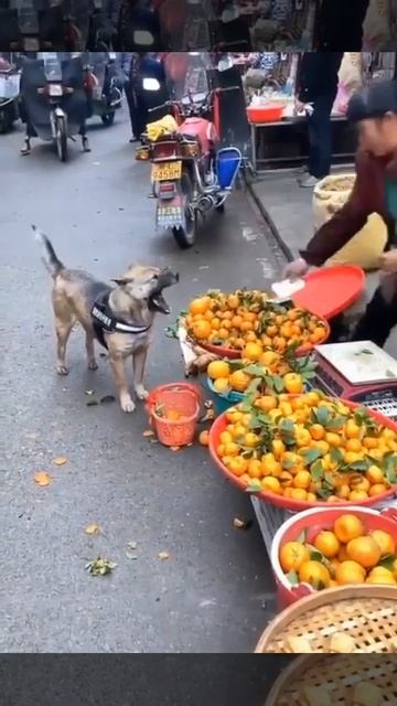 Взвесьте мне килограмм😁
