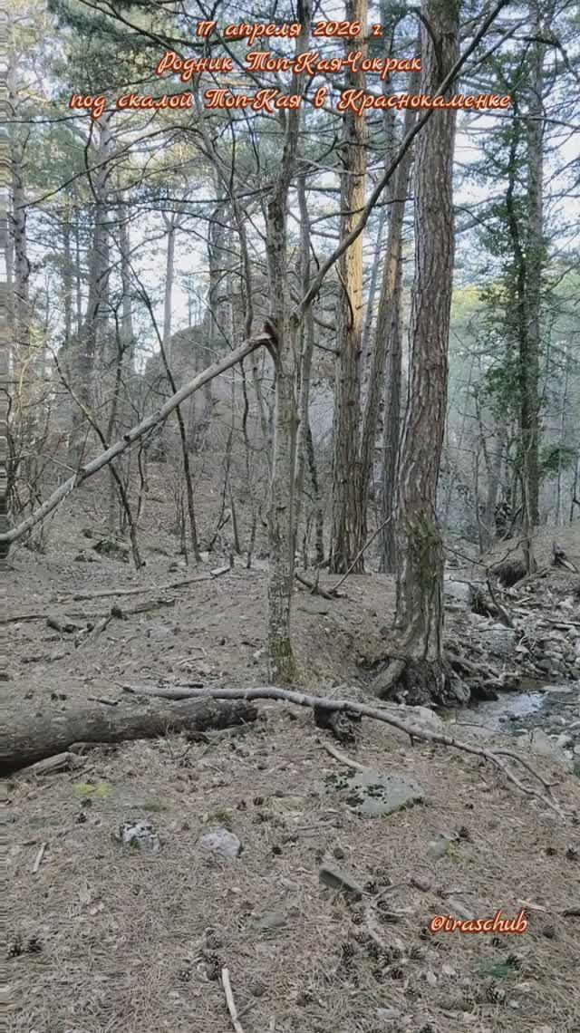 17 апреля 2026 г. Родник Топ-Кая-Чокрак под скалой Топ-Кая в Краснокаменке #ялта #краснокаменка