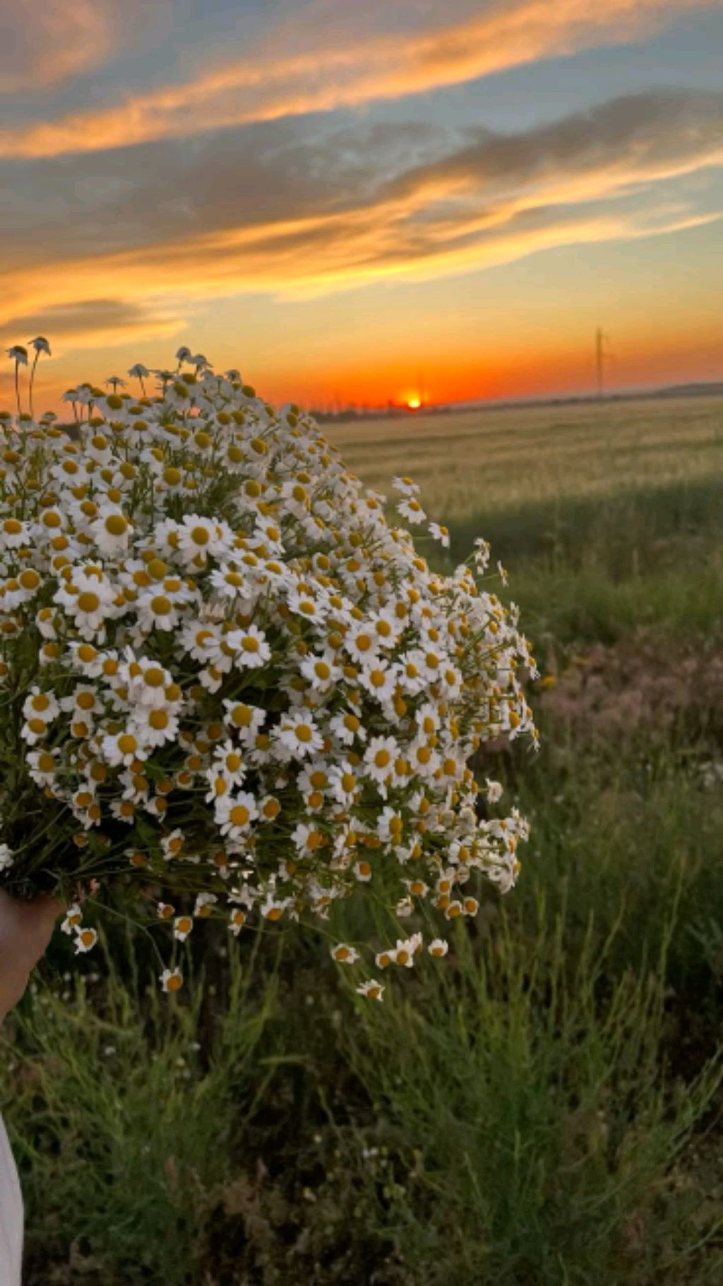 Делаем аквариум из бумаги для бумажной Черепашки