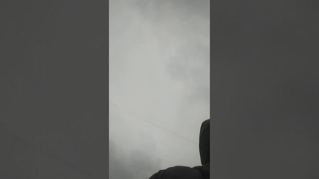 играю в догонялки