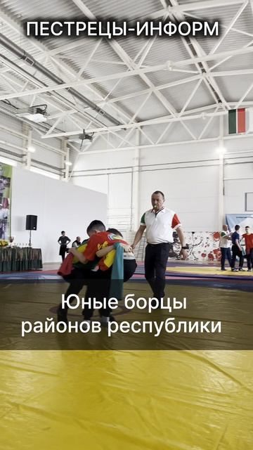 Кубки и медали с изображением Ильшата Шафигуллина