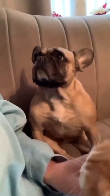 Что вы знаете о настоящей ревности?🙈😀