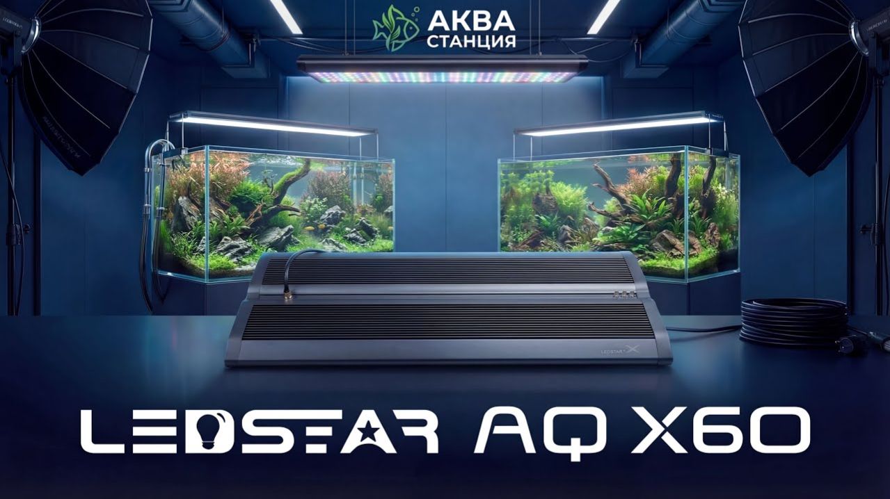 LedStar AQ X60 Аквариумный светильник обзорраспоковканастройказамер.