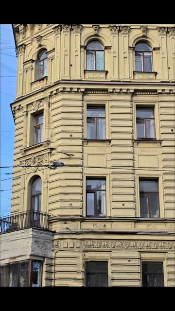 InShot_20260418_142637691 САНКТ-ПЕТЕРБУРГ