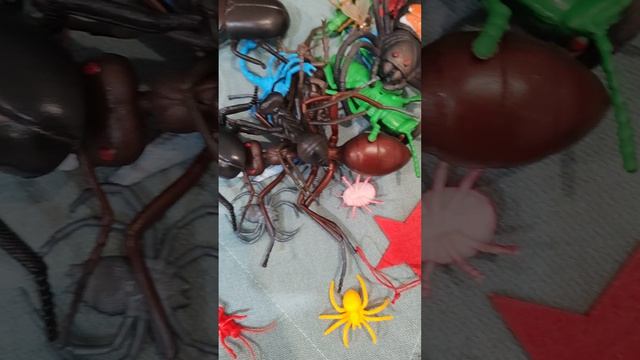 Паук-людоед