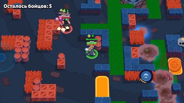 бравл старс 3 день новичка.