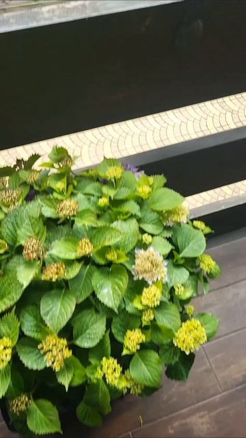 В профиле рассказываю, как 3 недели жила в Сочи в 7 отелях (2000₽/сутки все вкл)

Как? По ссылке бес