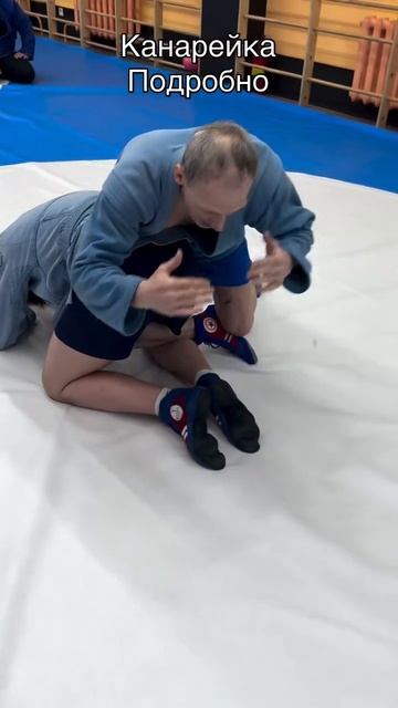 Канарейка подробно