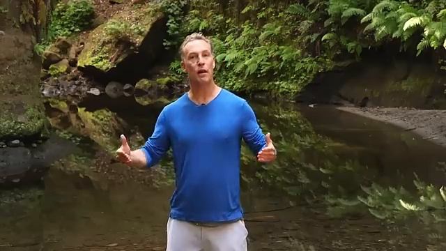 The 1 Acupressure Point For Immunity By Master Lee Holden