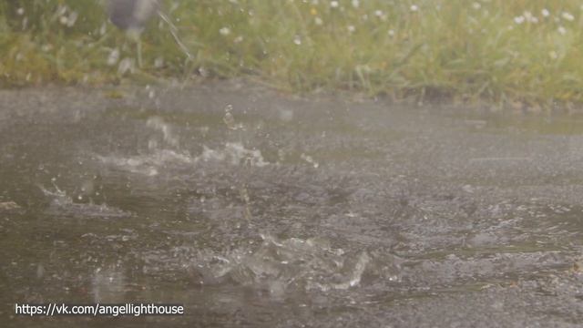 Солнечное Послание