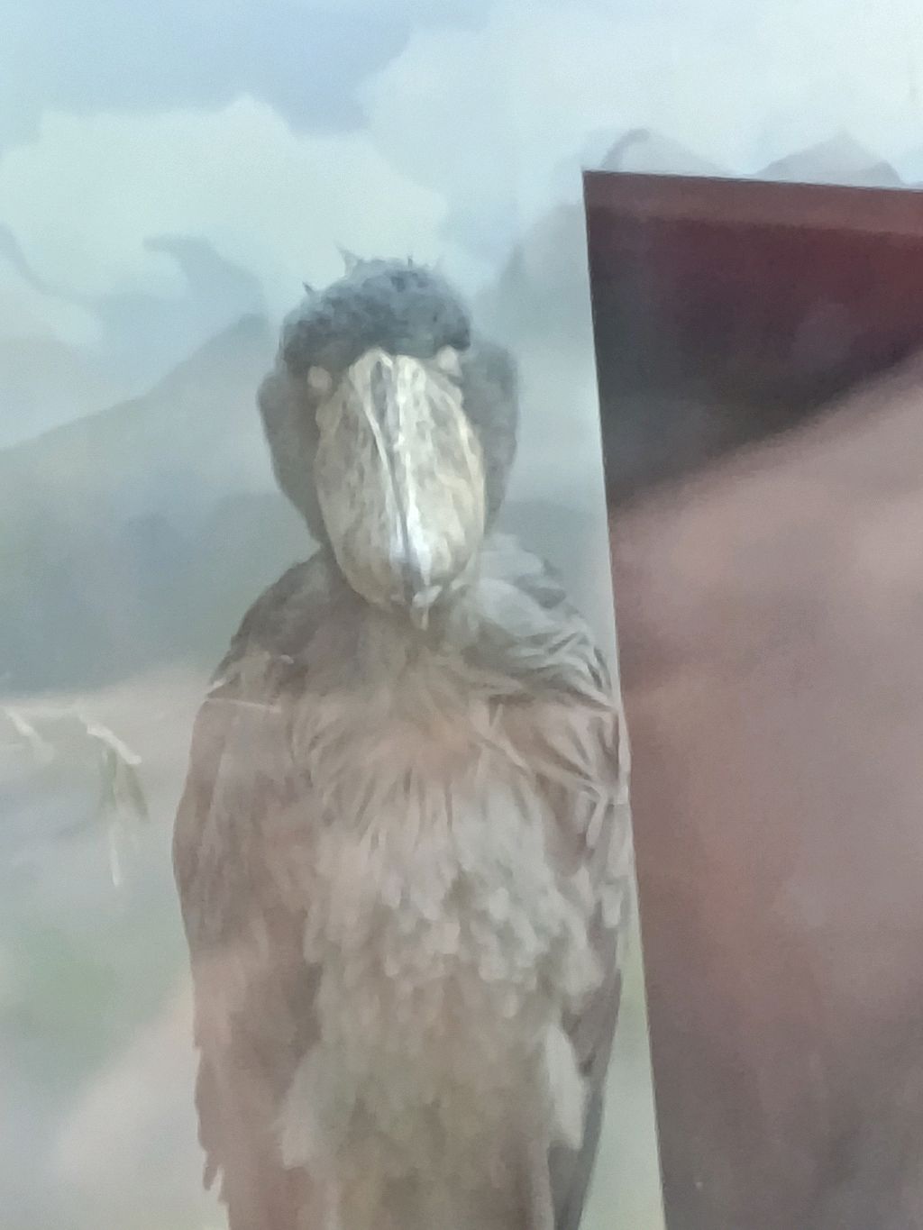 играем в майн стрим на сервере Skycave