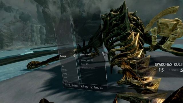 SKYRIM VR