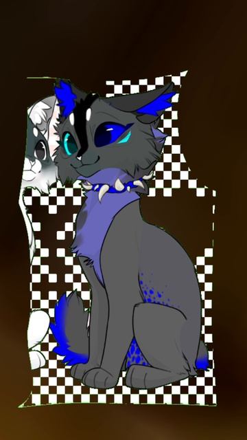 Кошка речной звезде