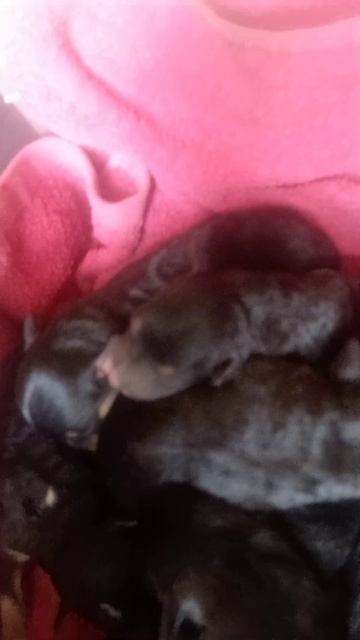 У нас прибавление