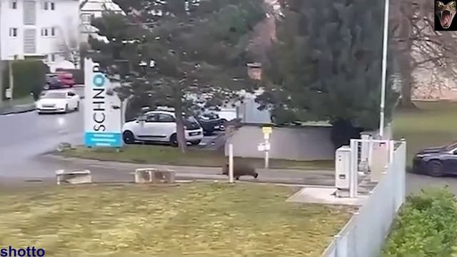 9fa20490308d1a7c01890b559e85c41a