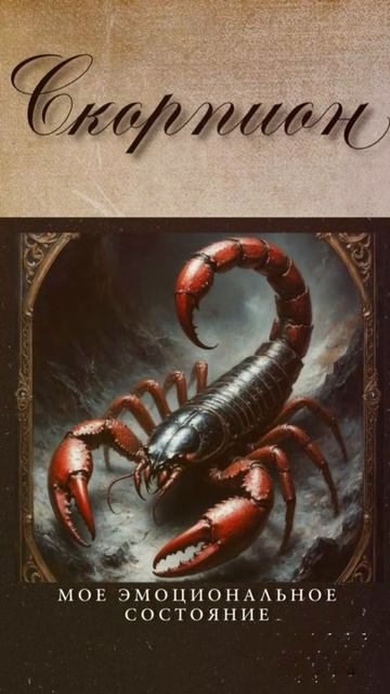 51e0d04c0d3da04d0498deb22fd502ee