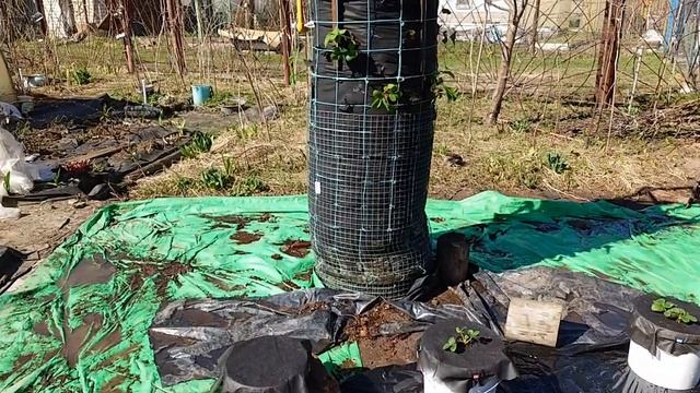 СПАНБОНД ПРОГУЛКА И УКЛАДКА