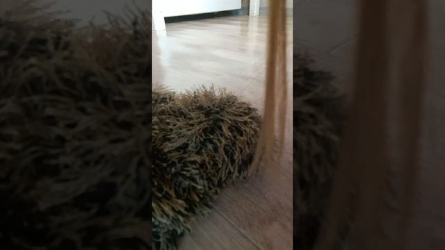 F88d29957d5fb8a2d0c799d0239ecf7b