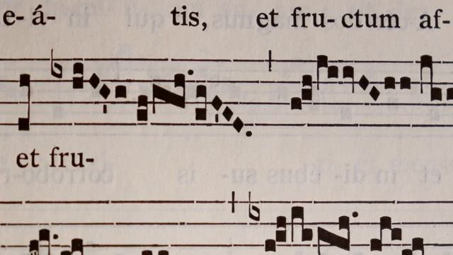 VID_20260418_002520_357