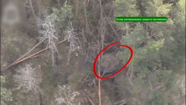 9e6fd41a1dd33c1154509d8e981fa063