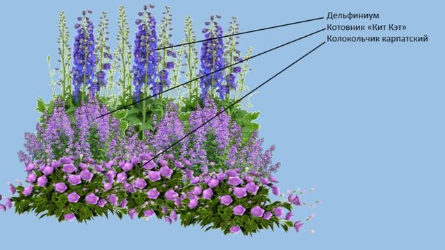 Магия синего в саду