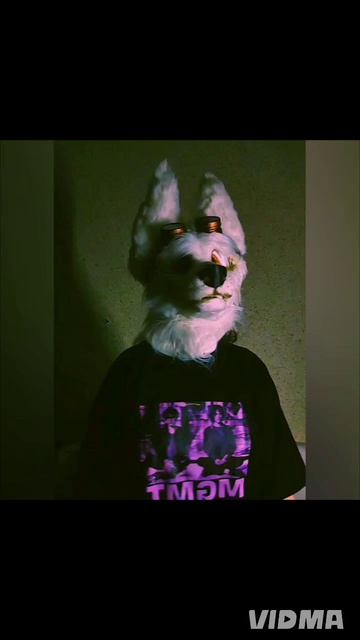 #фурри #2026 #тренды #я #гиджы #мойперсонаж