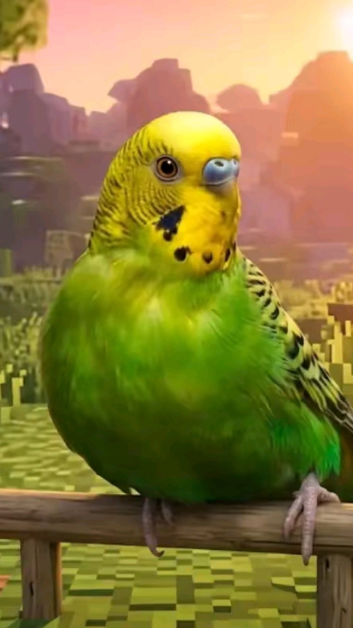 лучшие комментаторы канала за последнее время