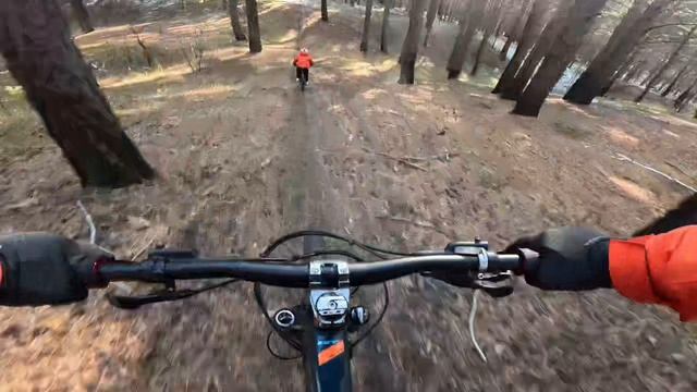 С ПАПОЙ НА ВЕЛИКАХ