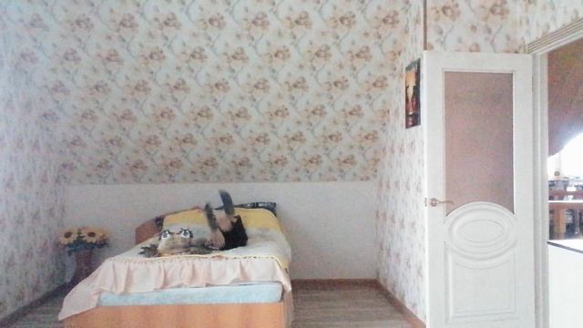 юмор для взрослых