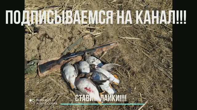 ОХОТА НА ГУСЯ С ЧУЧЕЛАМИ
