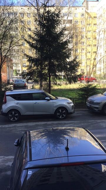 Санкт-Петербург. Проспект Энгелса. 17.04.2026. Внутренний дворик