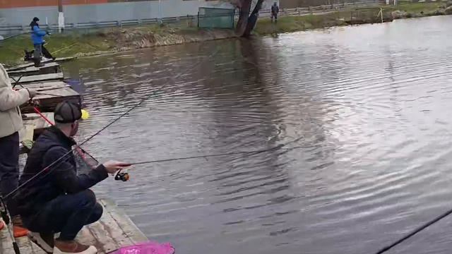 Светлые Горы Форель15 18.04.2026г.