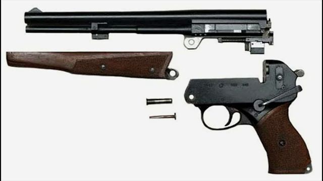 Оружие космонавтов ТП-82 которое должно было спасти