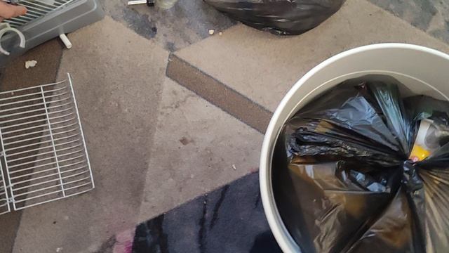 моя хомячиха умерла