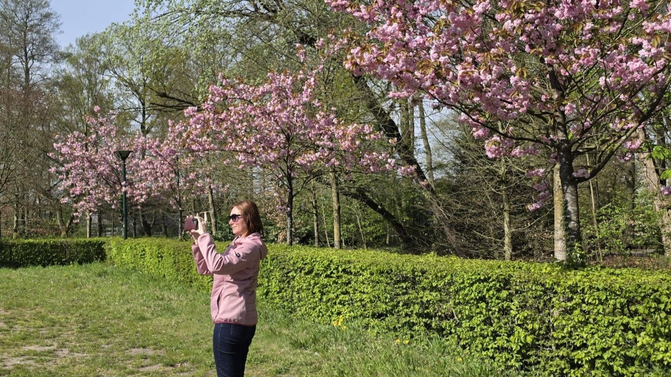 Как прекрасен этот мир! Природа зовет! Апрель в Нидерландах.