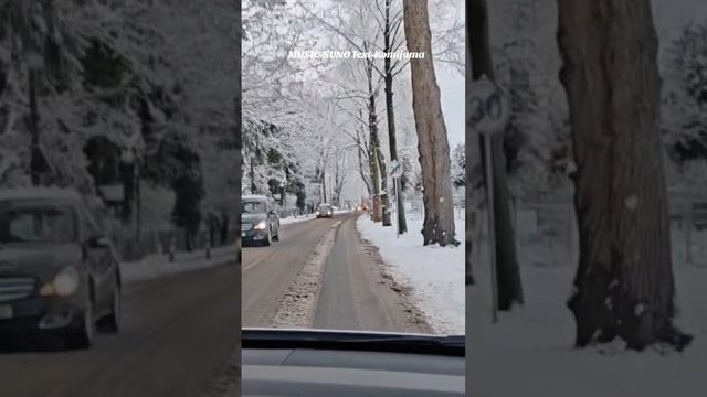 Падает снег - Komijama