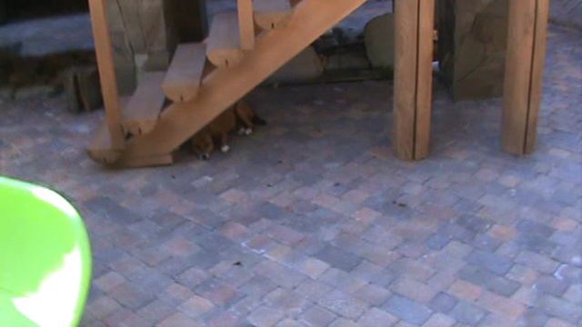 46Н ТАТЬЯНОВКА ЛЕСНОЕ ПОМЕСТЬЕ