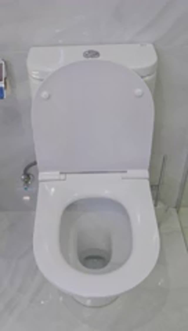 Починил сломанное сиденье унитаза 