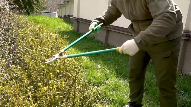 Фракция РПП Единая Осетия приняла участие в республиканском субботнике