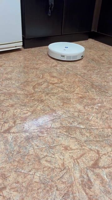 Скучно без пива