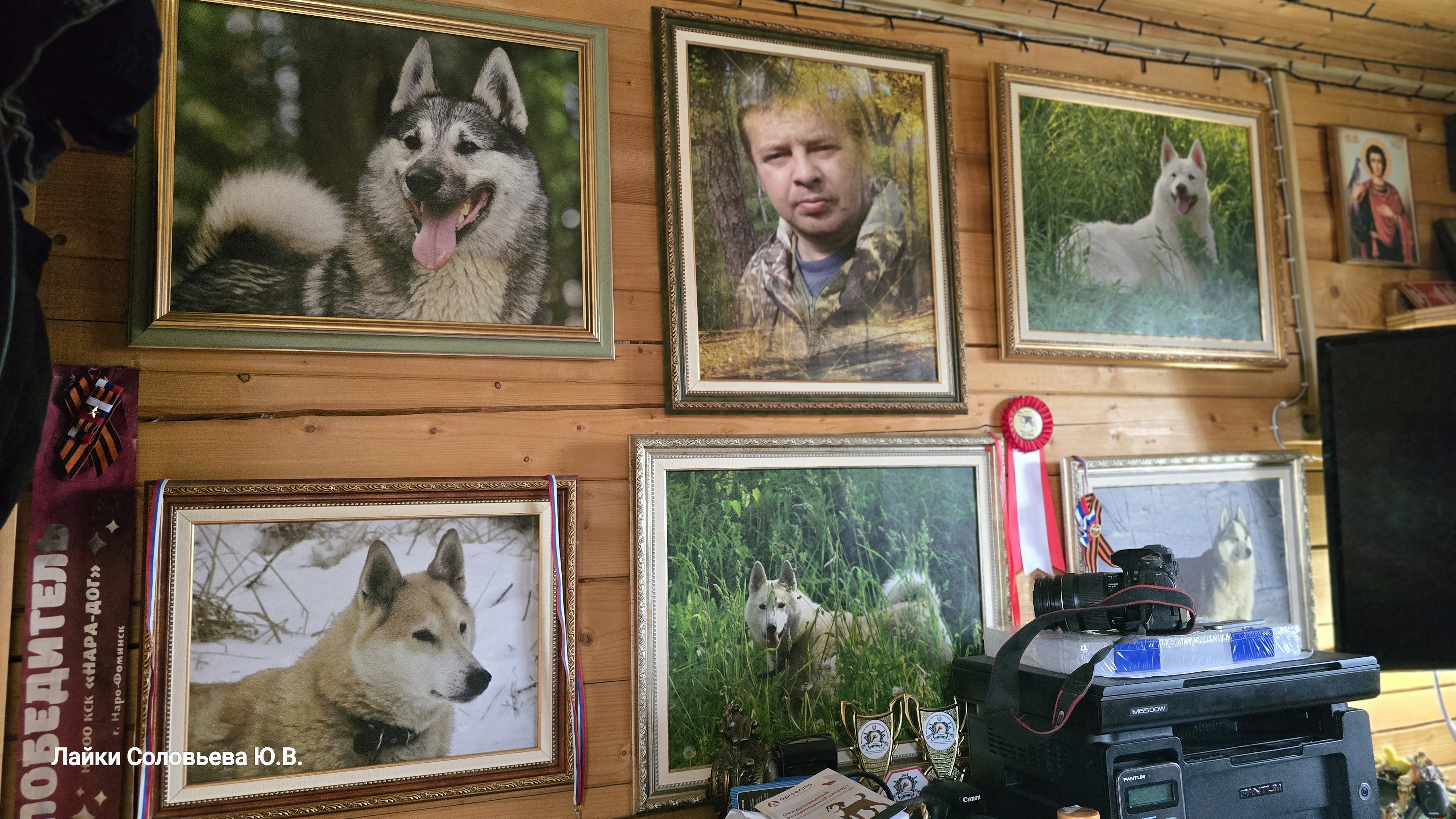 Картотека по лайкам